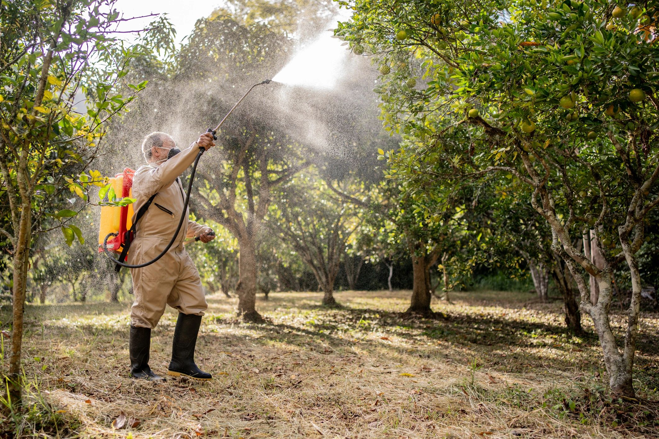 Technician applying pest control treatment