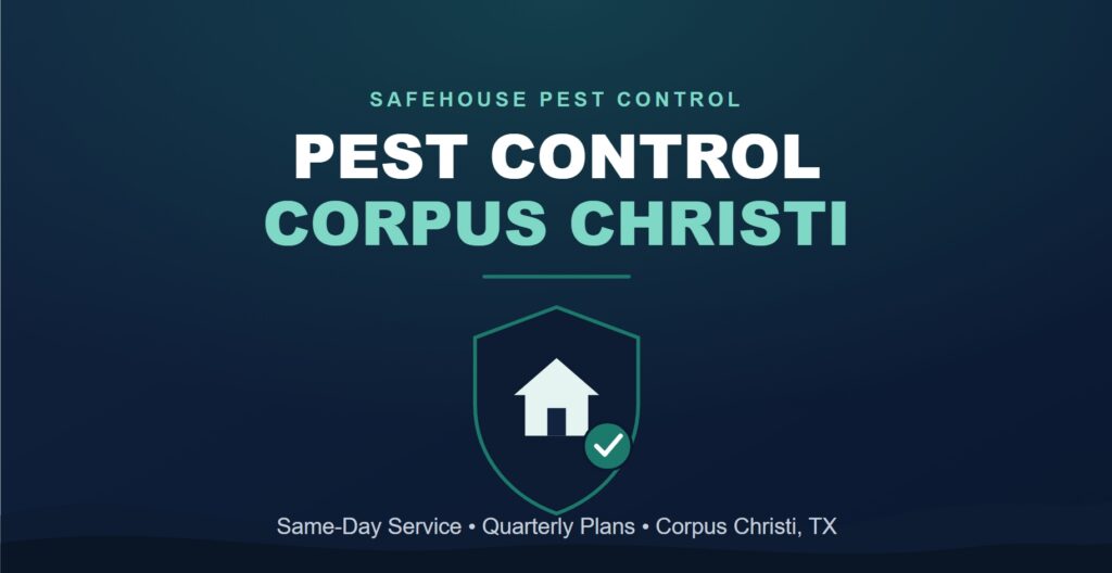 Pest Control Corpus Christi: What Homeowners & Property Managers Need to Know